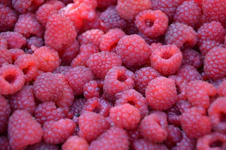 raspberry-lamponi