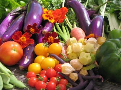 Alimentazione durante l’allattamento