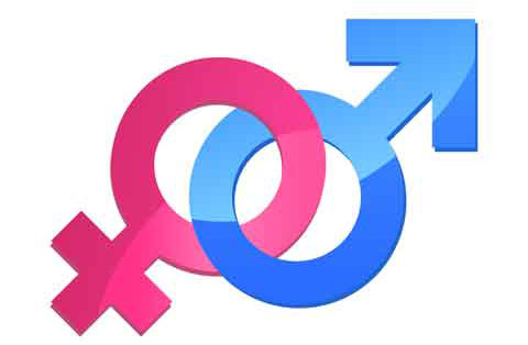 Come capire se maschio o femmina