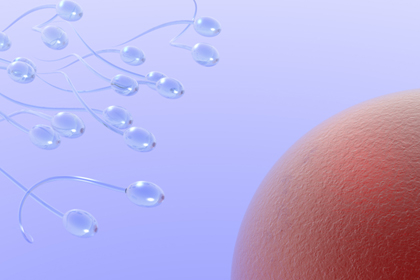 Come aumentare le possibilità del concepimento