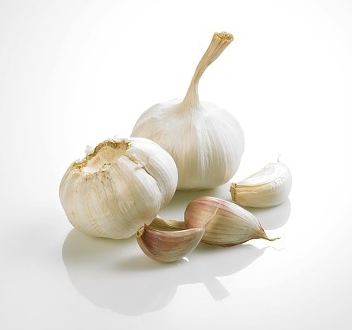aglio