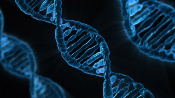Test DNA prima della nascita