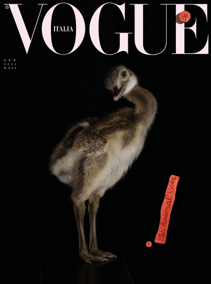 VI2012 COVER7