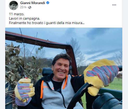 morandi fb morandi fb