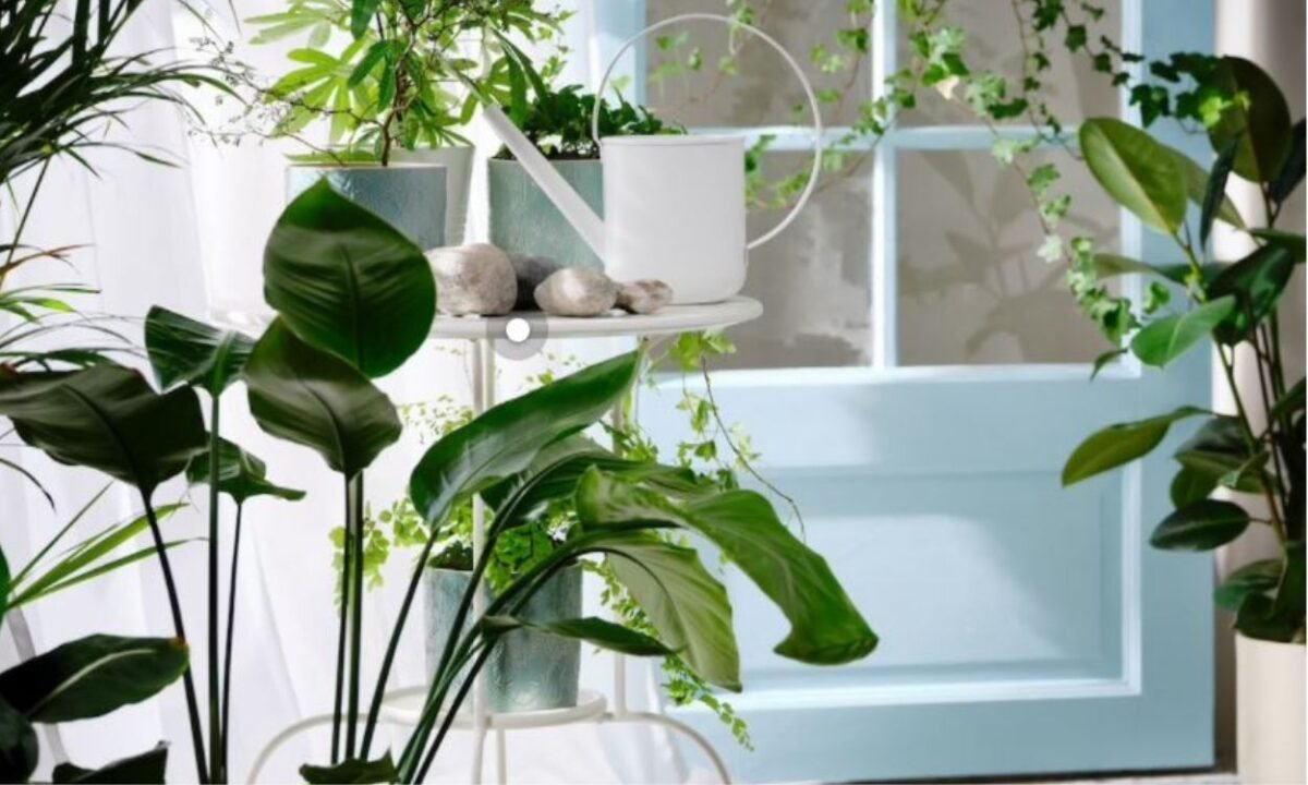 Ikea, primavera 2022: idee e consigli per arredare casa
