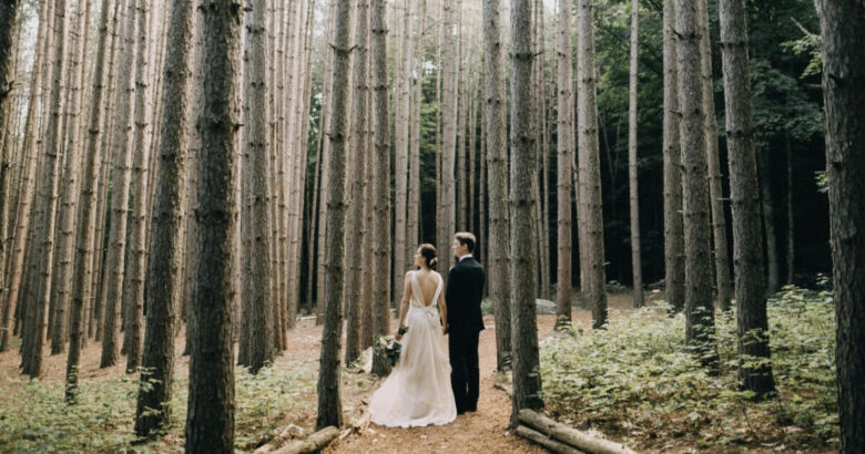 matrimonio bosco 3