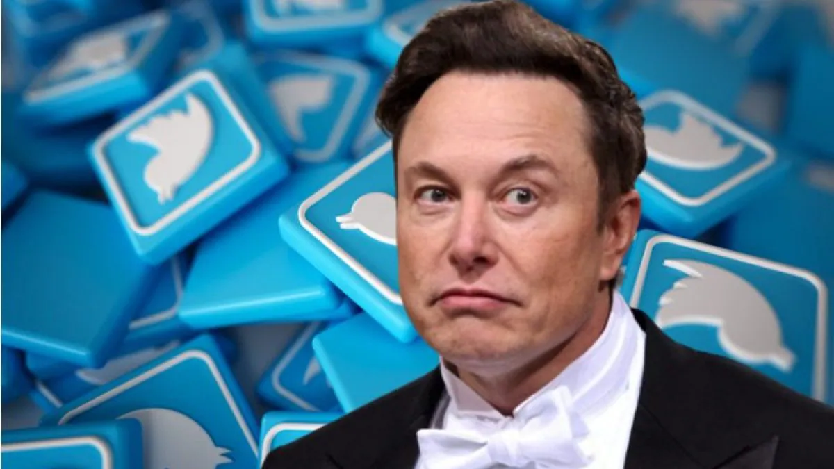 Twitter, Elon Musk elimina la spunta blu: si dovrà pagare!