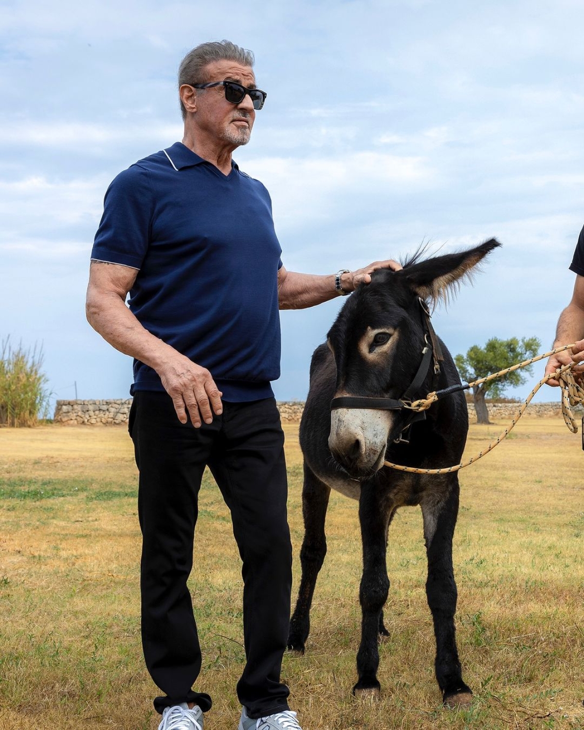 Sylvester Stallone offenderebbe le comparse in Tulsa King Sylvester Stallone offenderebbe le comparse in Tulsa King
