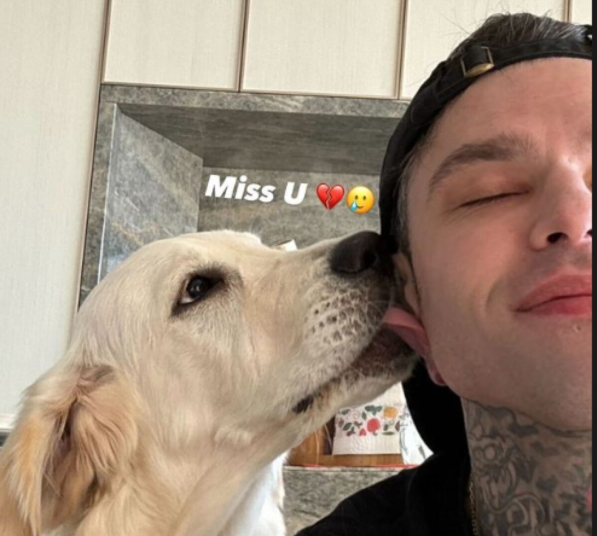 Fedez e il messaggio per Paloma Fedez e il messaggio per Paloma