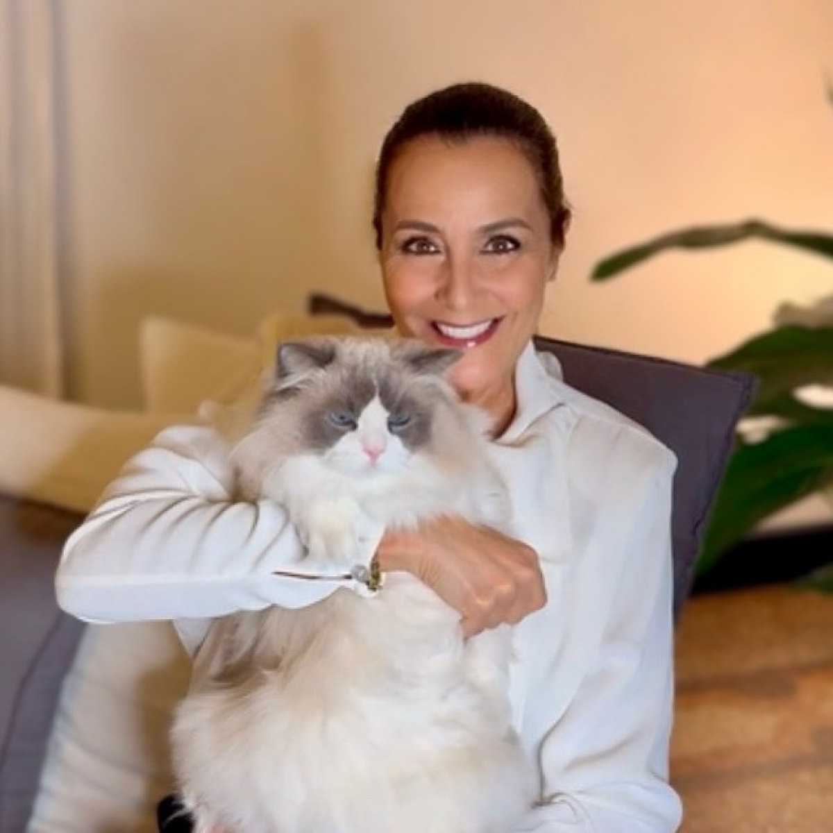 Roberta Capua e la separazione dal marito: cosa è accaduto? Roberta Capua e la separazione dal marito: cosa è accaduto?