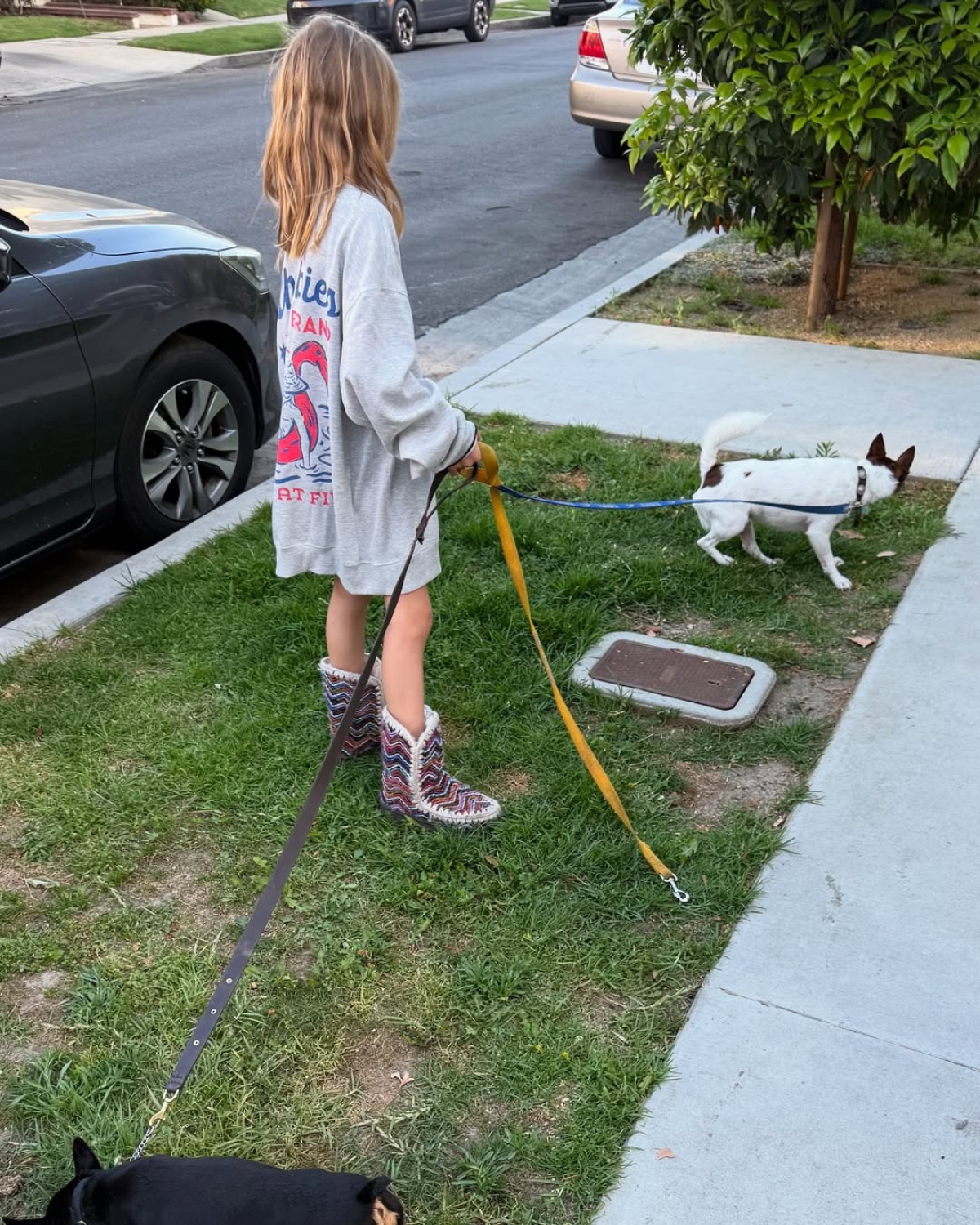 Elisabetta Canalis addolorata per la perdita del suo cane: cosa ha postato? Elisabetta Canalis addolorata per la perdita del suo cane: cosa ha postato?