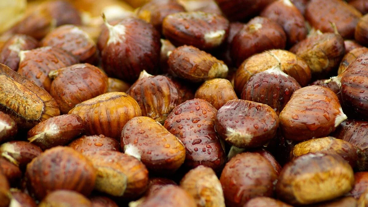 castagne bagnate castagne bagnate