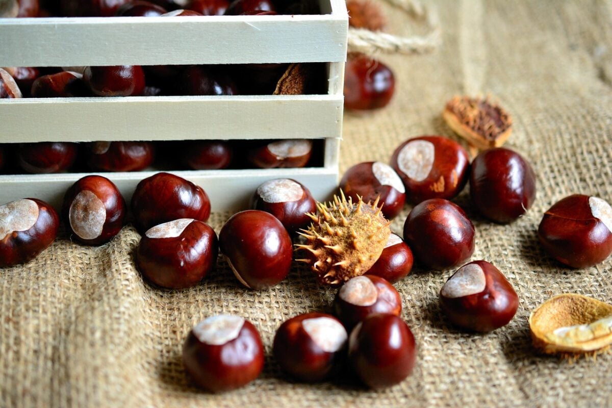 Ricetta castagne arrostite